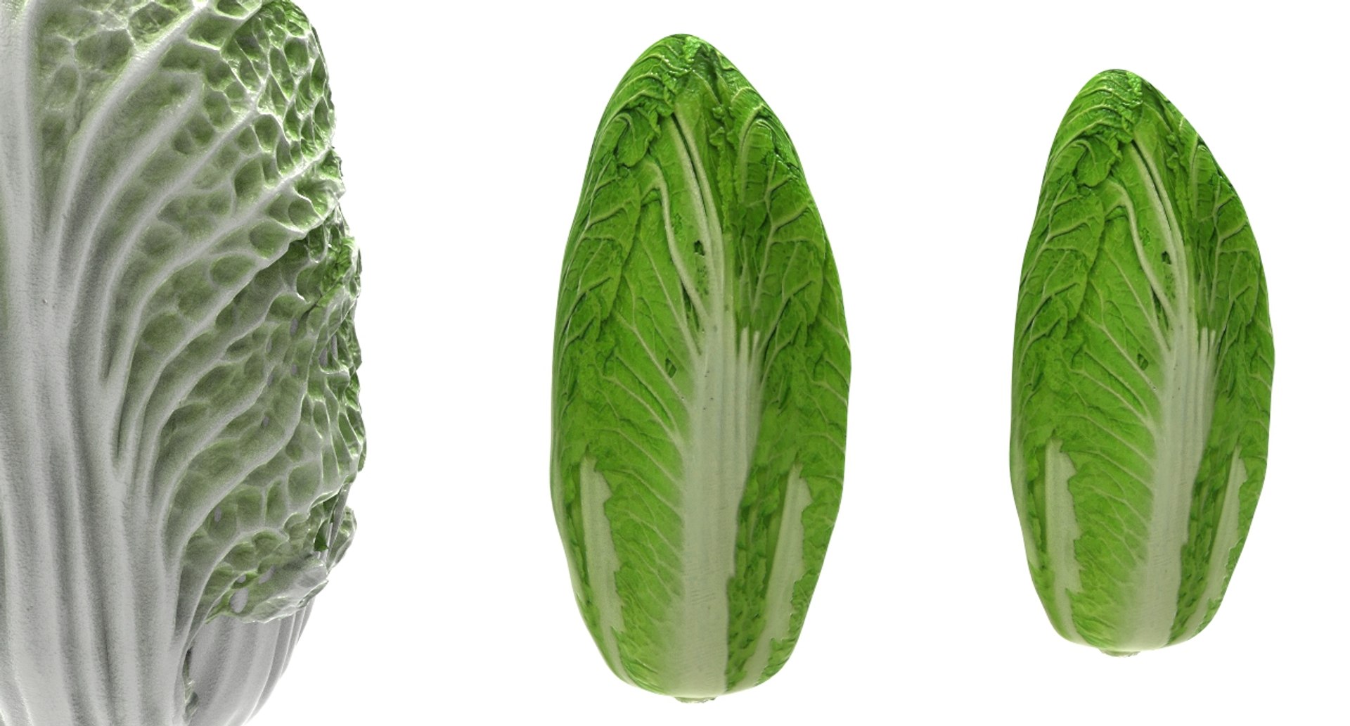 3D model cabbage napa https://p.turbosquid.com/ts-thumb/j4/yYwSSq/7kCy8ILE/napa8/jpg/1589434031/1920x1080/fit_q87/bb6940eb872a48b126e3c1f22ed0686306b837ea/napa8.jpg