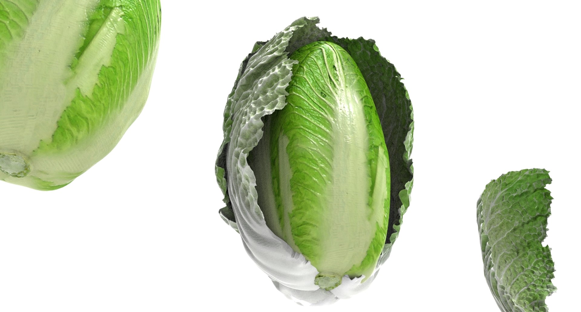3D model cabbage napa https://p.turbosquid.com/ts-thumb/j4/yYwSSq/Ee1Z7eDo/napa11/jpg/1589434031/1920x1080/fit_q87/3e263e7b8db928b1eb92b074844ce0aa0b230f42/napa11.jpg