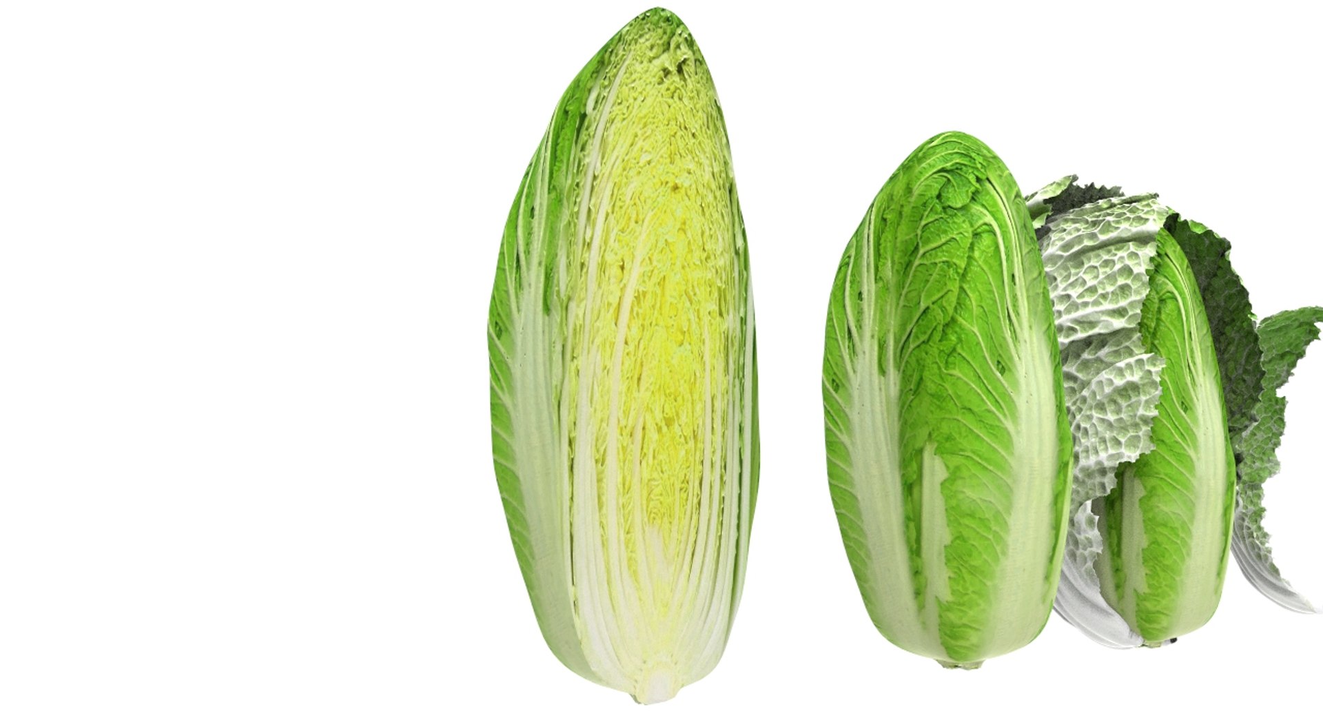 3D model cabbage napa https://p.turbosquid.com/ts-thumb/j4/yYwSSq/FNudjjzK/napa5/jpg/1589434031/1920x1080/fit_q87/0232adad91b260112871f5f2a44a684ad5e05816/napa5.jpg