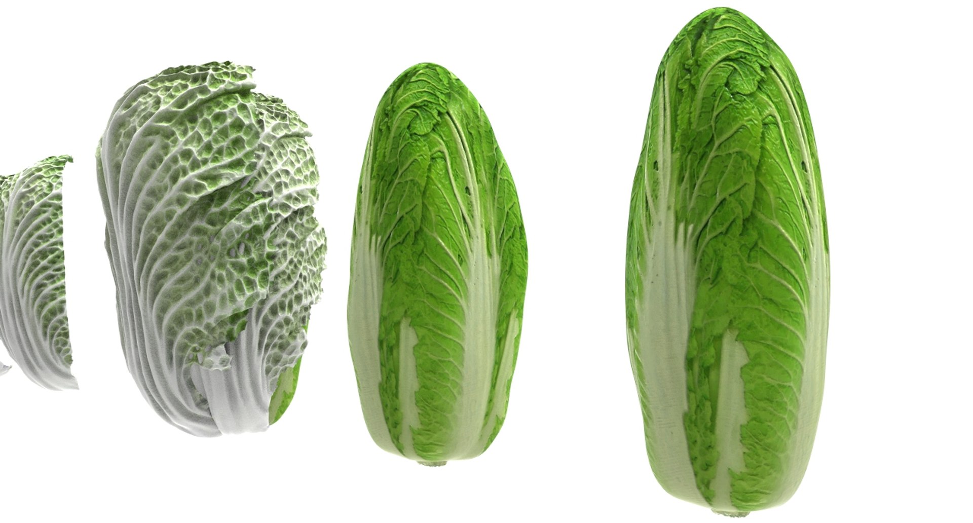 3D model cabbage napa https://p.turbosquid.com/ts-thumb/j4/yYwSSq/PN6zwulu/napa7/jpg/1589434031/1920x1080/fit_q87/3263213ec020c2999383dbb243627ee4b82608d5/napa7.jpg
