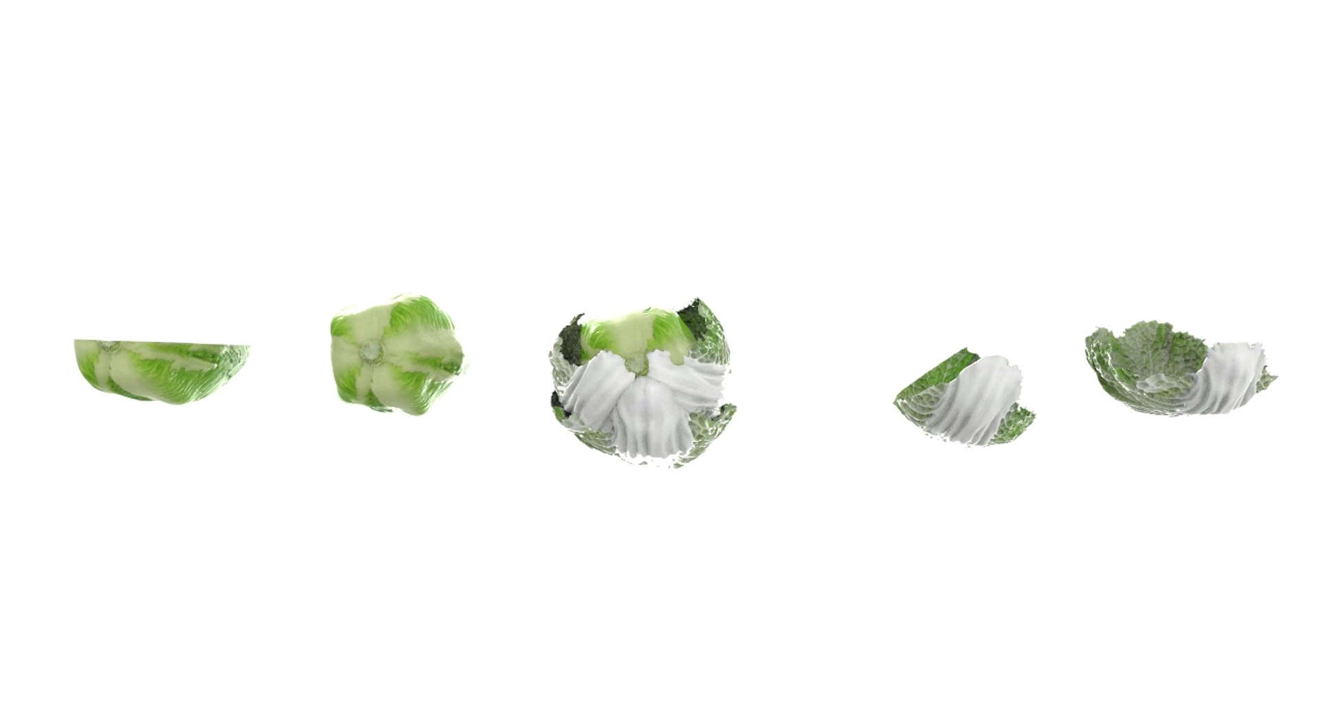 3D model cabbage napa https://p.turbosquid.com/ts-thumb/j4/yYwSSq/TTGgK5wk/napa4/jpg/1589434031/1920x1080/fit_q87/4fc589c4e0133731cd965a04cbbda79aca1a5418/napa4.jpg