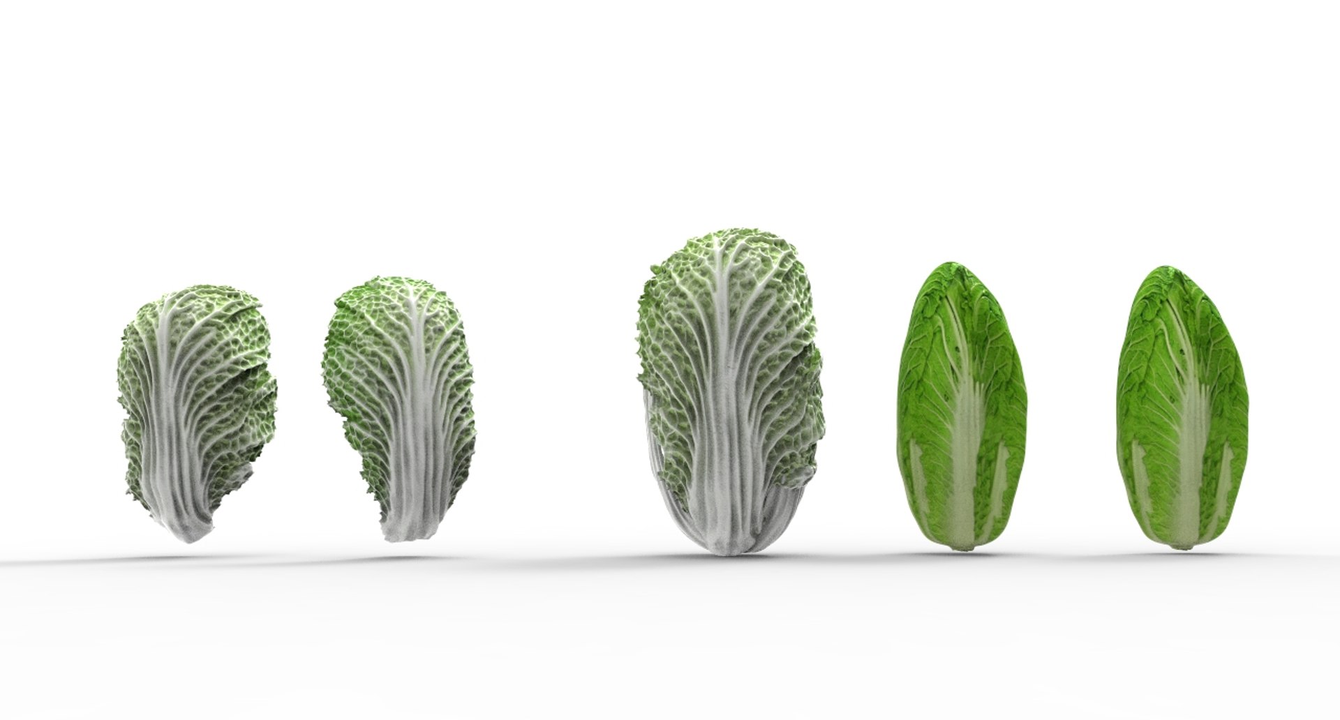 3D model cabbage napa https://p.turbosquid.com/ts-thumb/j4/yYwSSq/Y1F5oTmV/napa3/jpg/1589434031/1920x1080/fit_q87/2c236fb0e6fbeb1056274b40b12d9bdcc3d63bff/napa3.jpg
