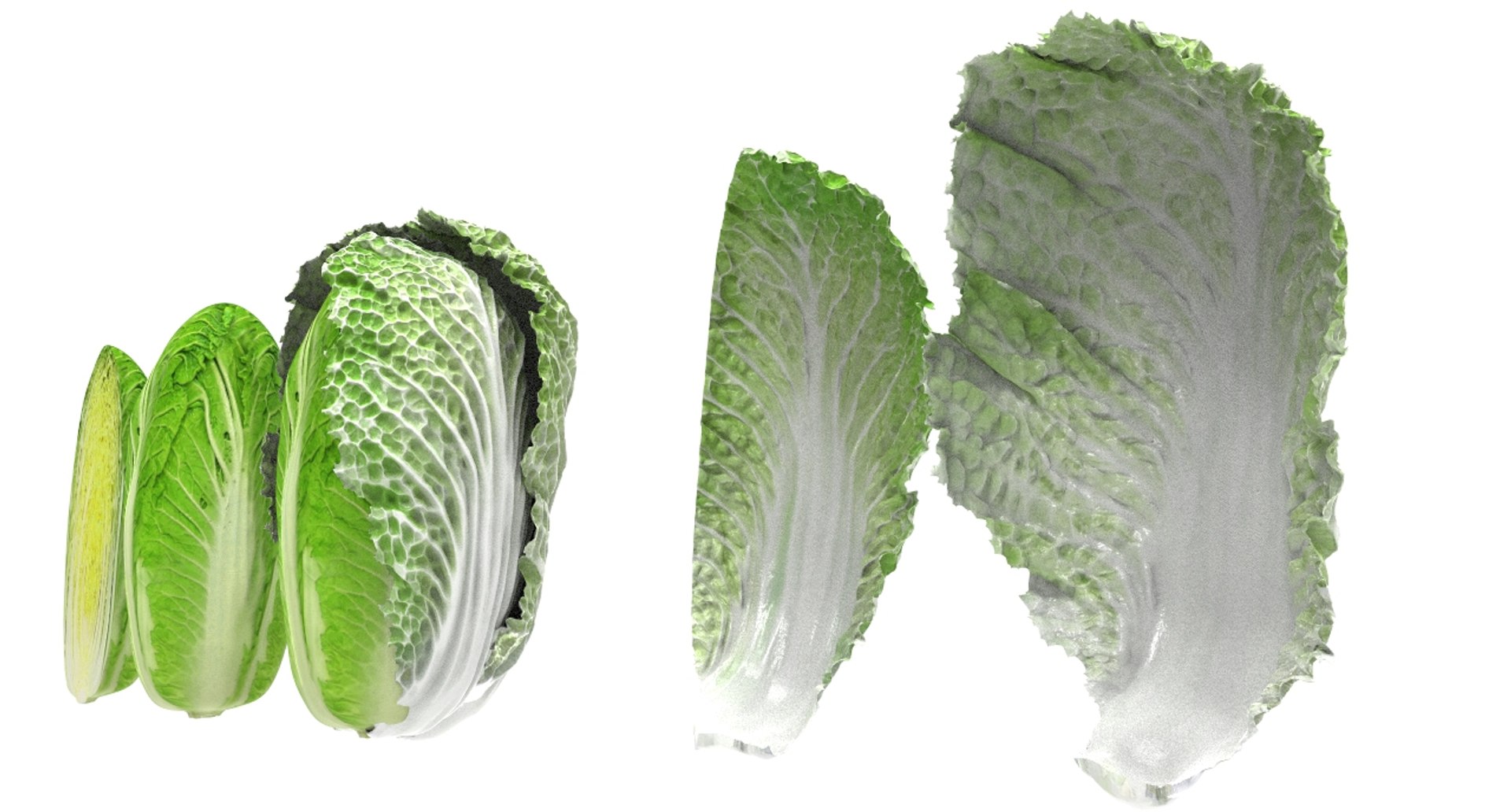 3D model cabbage napa https://p.turbosquid.com/ts-thumb/j4/yYwSSq/ybI5yYfq/napa17/jpg/1589434031/1920x1080/fit_q87/4a415b45c4e1e4d47df26232ec5c977ec94a05ee/napa17.jpg