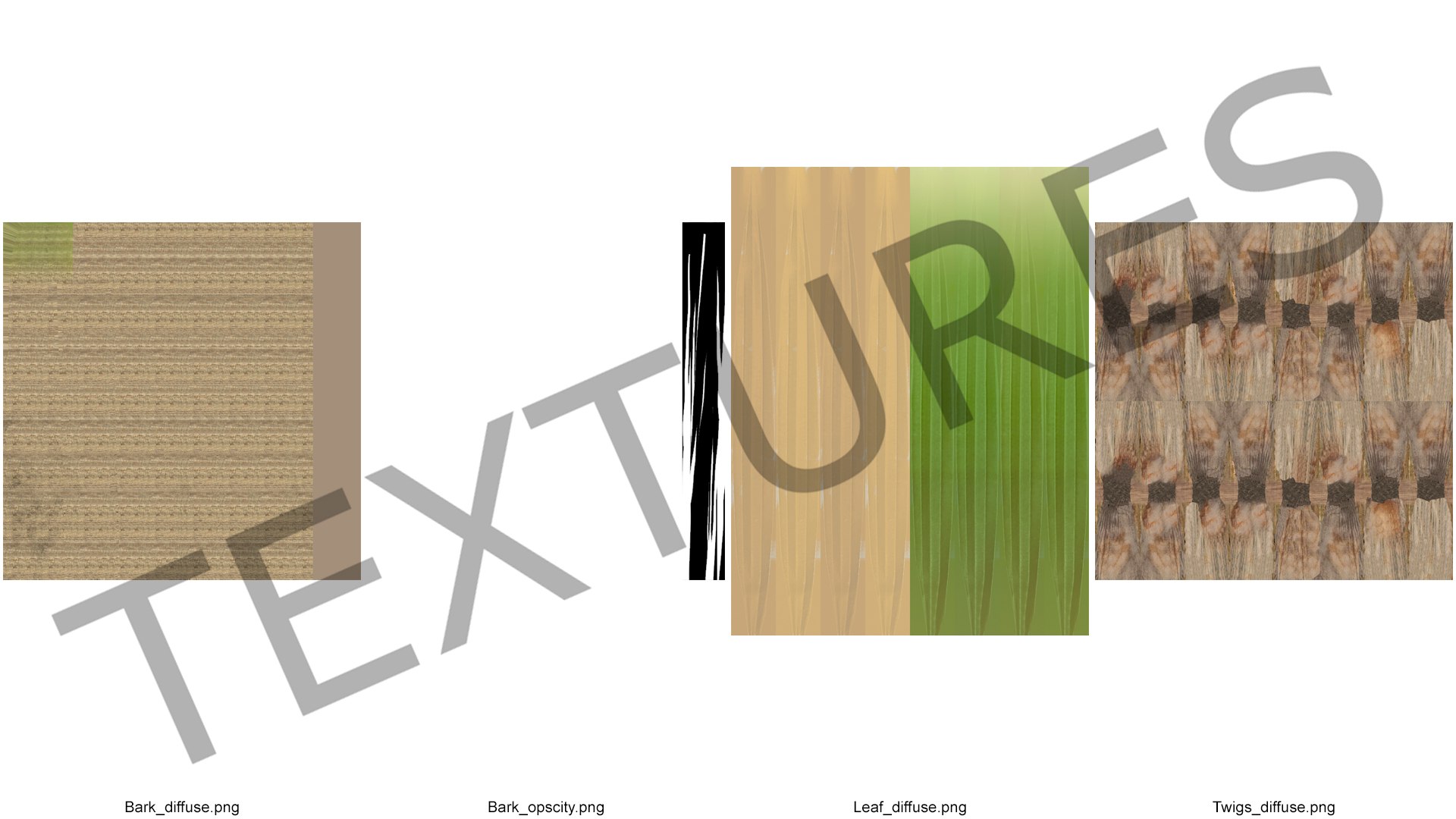 3D washingtonia robusta https://p.turbosquid.com/ts-thumb/j5/2FHBgy/8NJtvNdB/washingtoniarobustamb3dmodel010/jpg/1583205943/1920x1080/fit_q87/98f9909ebc8b542461875f6deaec7a80fab63d92/washingtoniarobustamb3dmodel010.jpg