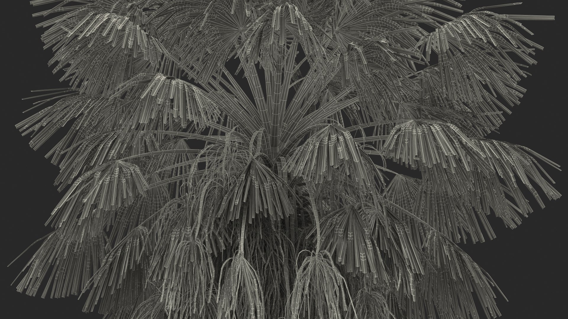 3D washingtonia robusta https://p.turbosquid.com/ts-thumb/j5/2FHBgy/AeRSJ2uu/washingtoniarobustamb3dmodel017/jpg/1583205987/1920x1080/fit_q87/bb688adfc4a8c0ab7563a9c6f5e94a8b2ea901ac/washingtoniarobustamb3dmodel017.jpg
