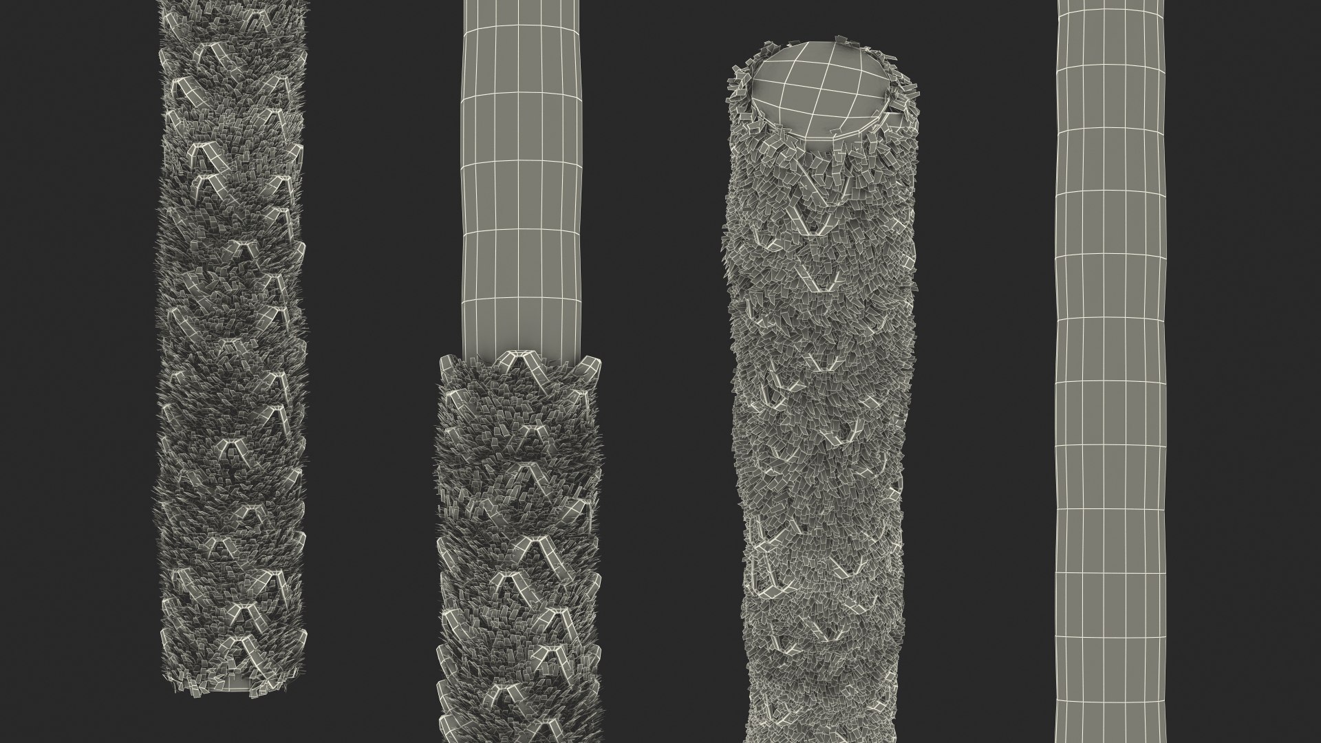 3D washingtonia robusta https://p.turbosquid.com/ts-thumb/j5/2FHBgy/IoNnRZIs/washingtoniarobustamb3dmodel014/jpg/1583205969/1920x1080/fit_q87/adfbcaede00d96d072444f7433e012ddff858fc1/washingtoniarobustamb3dmodel014.jpg