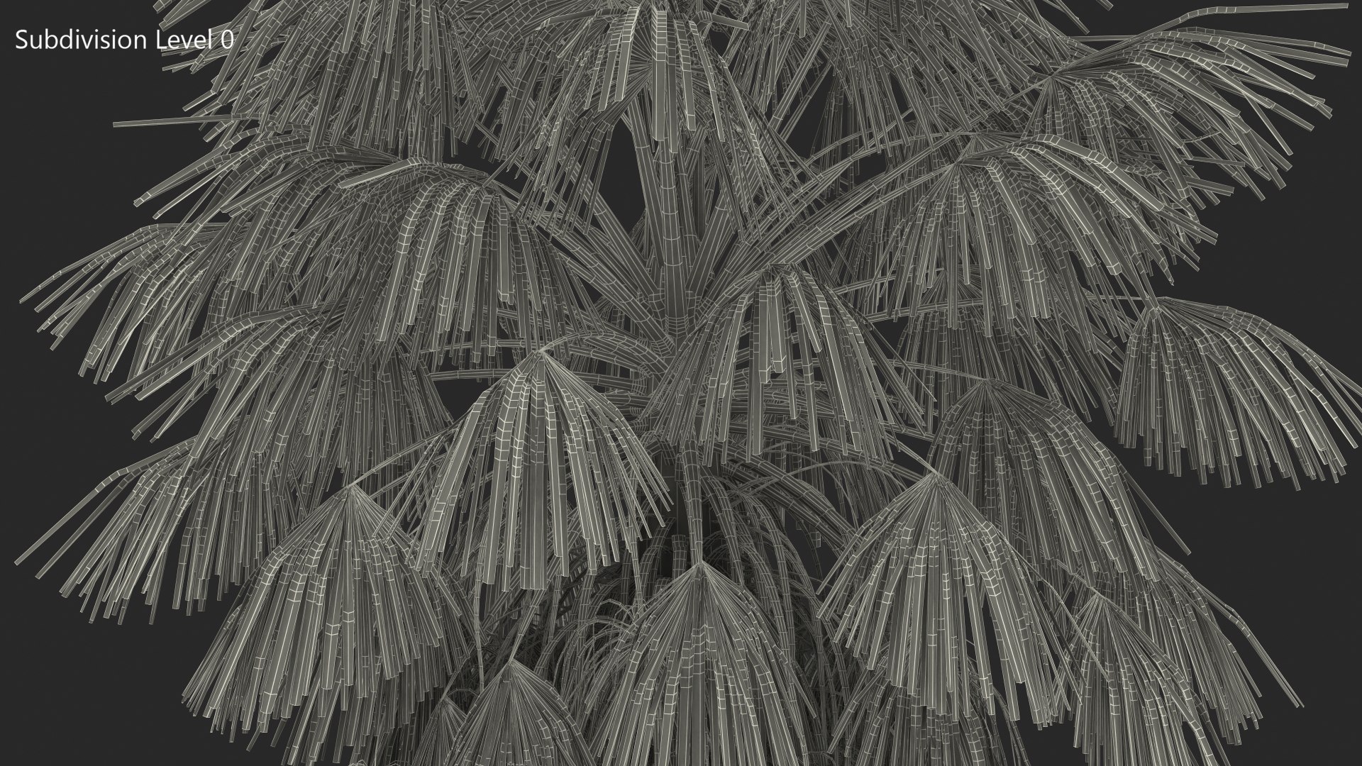 3D washingtonia robusta https://p.turbosquid.com/ts-thumb/j5/2FHBgy/WjRbu70a/washingtoniarobustamb3dmodel007/jpg/1583205924/1920x1080/fit_q87/55a3ec9b9372f034ea1e9a215f66f594e91d48e9/washingtoniarobustamb3dmodel007.jpg