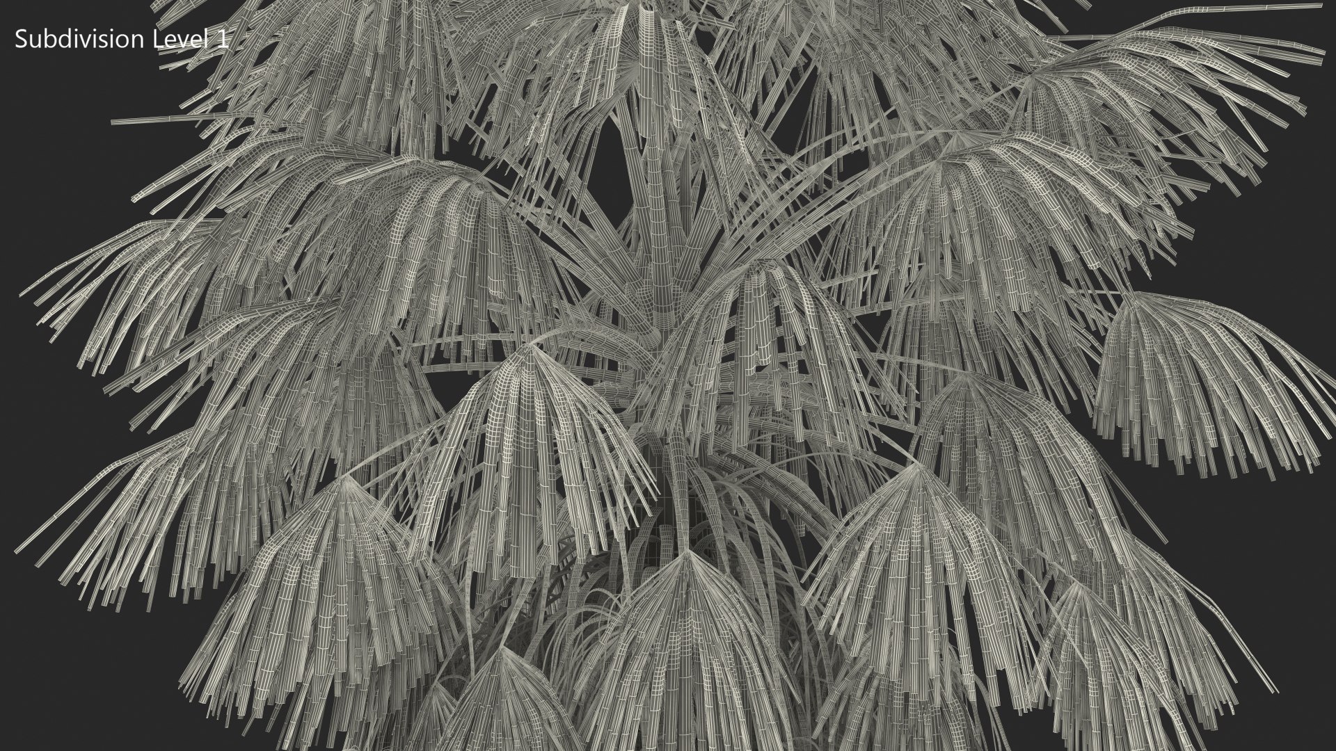 3D washingtonia robusta https://p.turbosquid.com/ts-thumb/j5/2FHBgy/ssl60H74/washingtoniarobustamb3dmodel008/jpg/1583205930/1920x1080/fit_q87/e776e5a2453ae176b1ea2ec3205c109f94aa23e1/washingtoniarobustamb3dmodel008.jpg