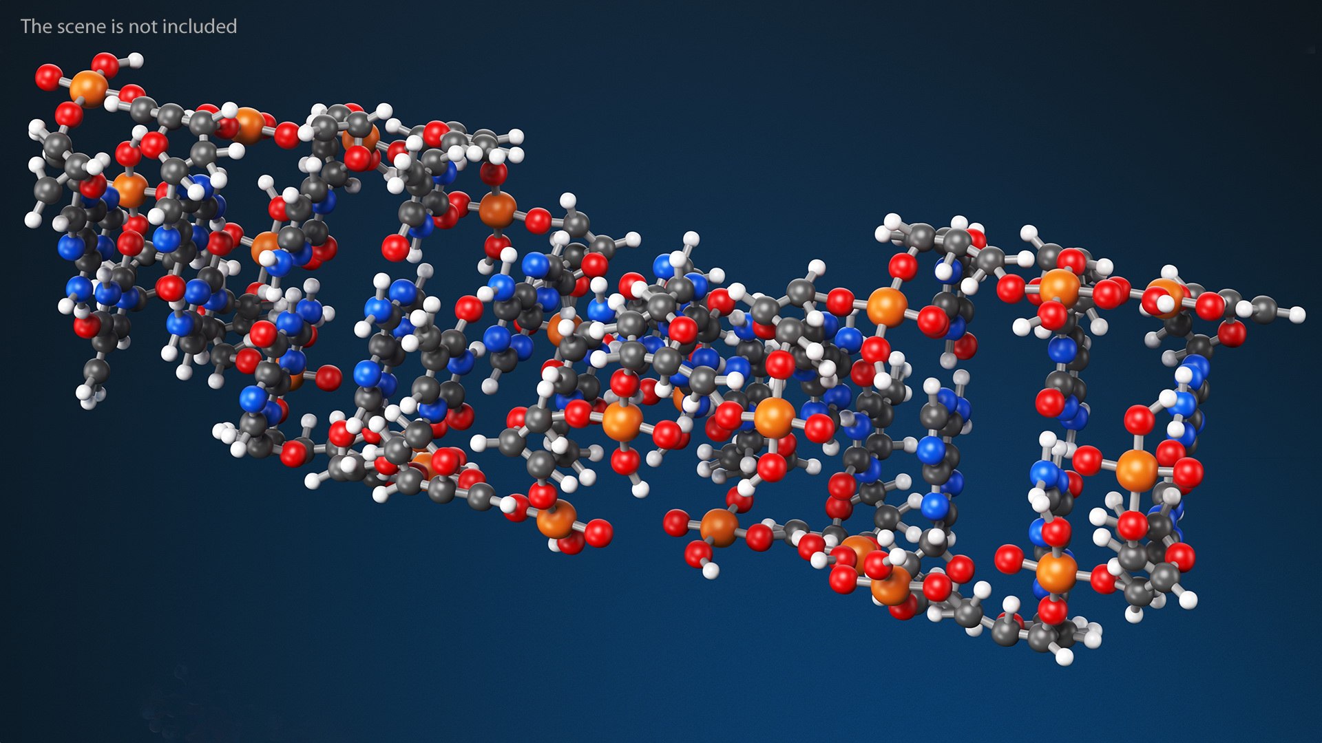 3D Z Form Deoxyribonucleic Acid Structure - TurboSquid 1836547