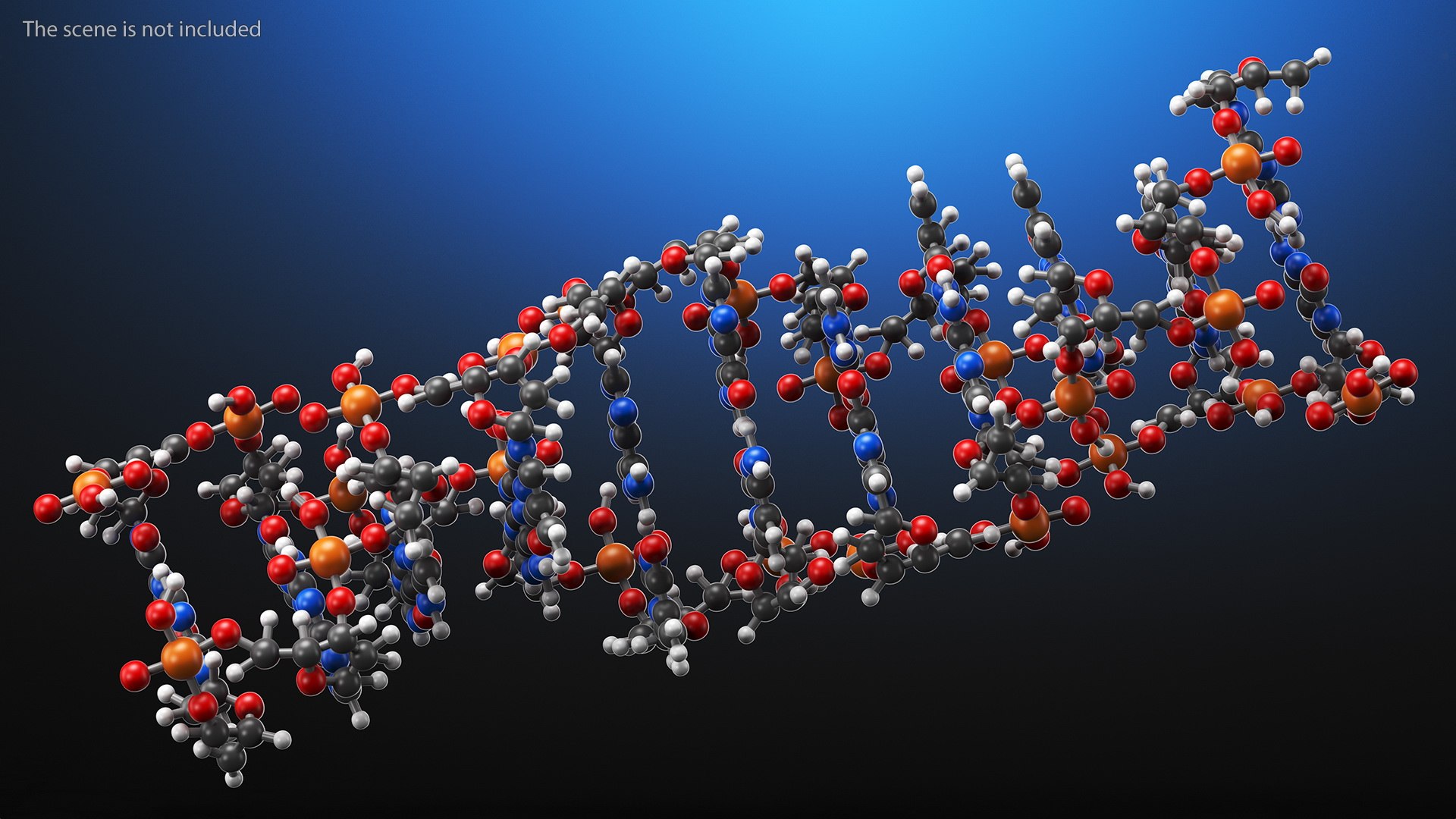 3D Z Form Deoxyribonucleic Acid Structure - TurboSquid 1836547