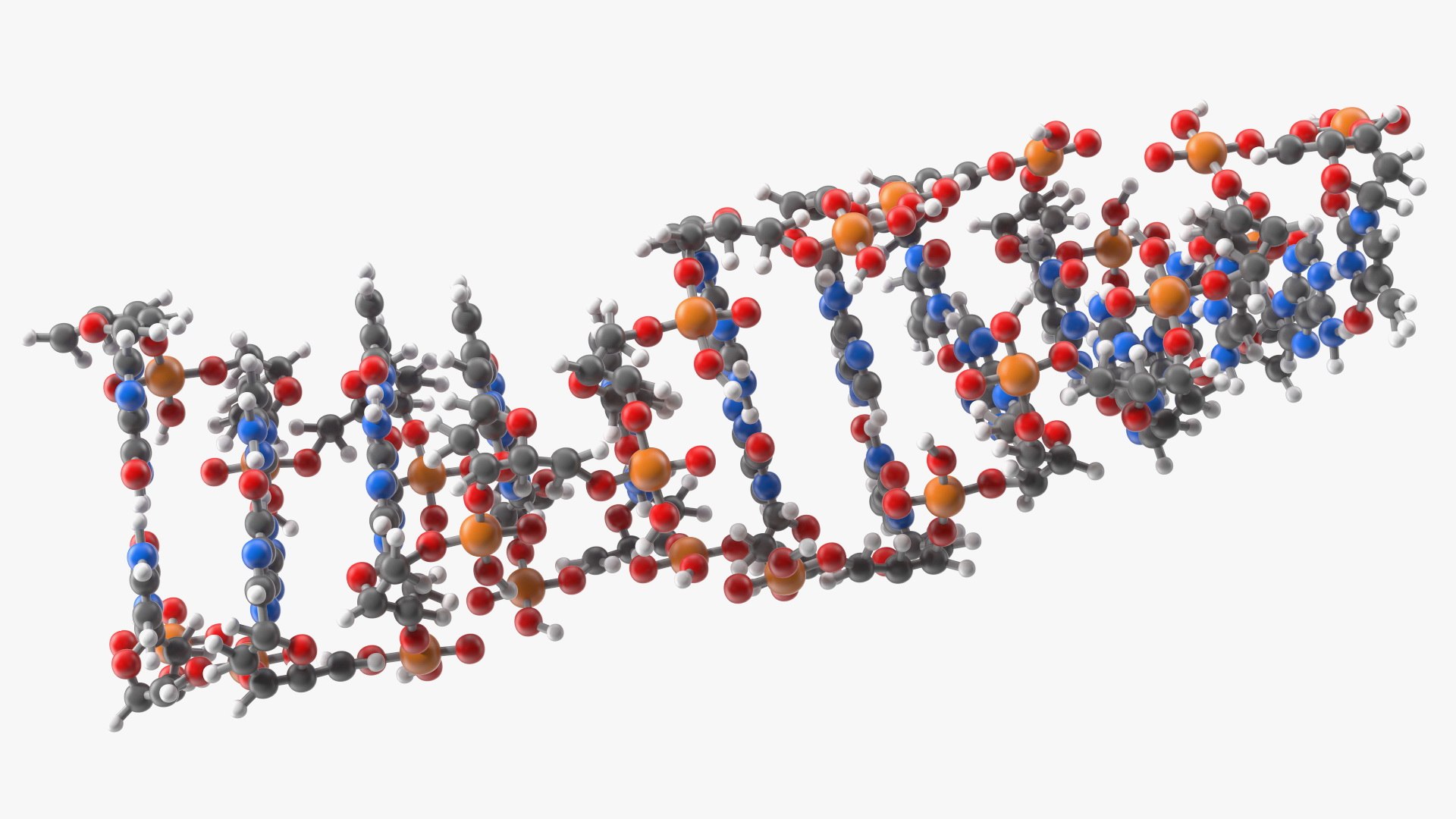 3D Z Form Deoxyribonucleic Acid Structure - TurboSquid 1836547