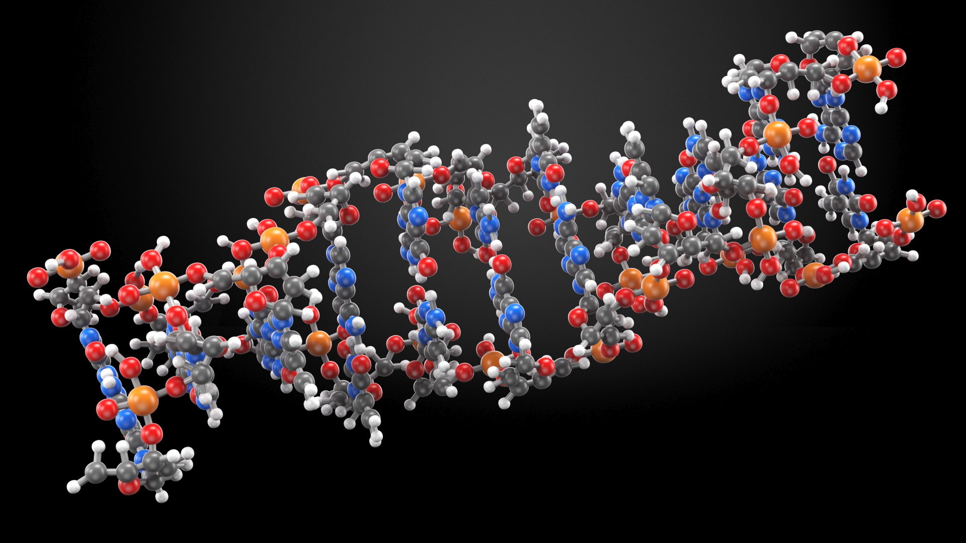 3d Z Form Deoxyribonucleic Acid Structure - Turbosquid 1836547