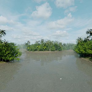 Realistic forest scene