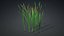 3D Typha Orientalis
