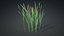 3D Typha Orientalis