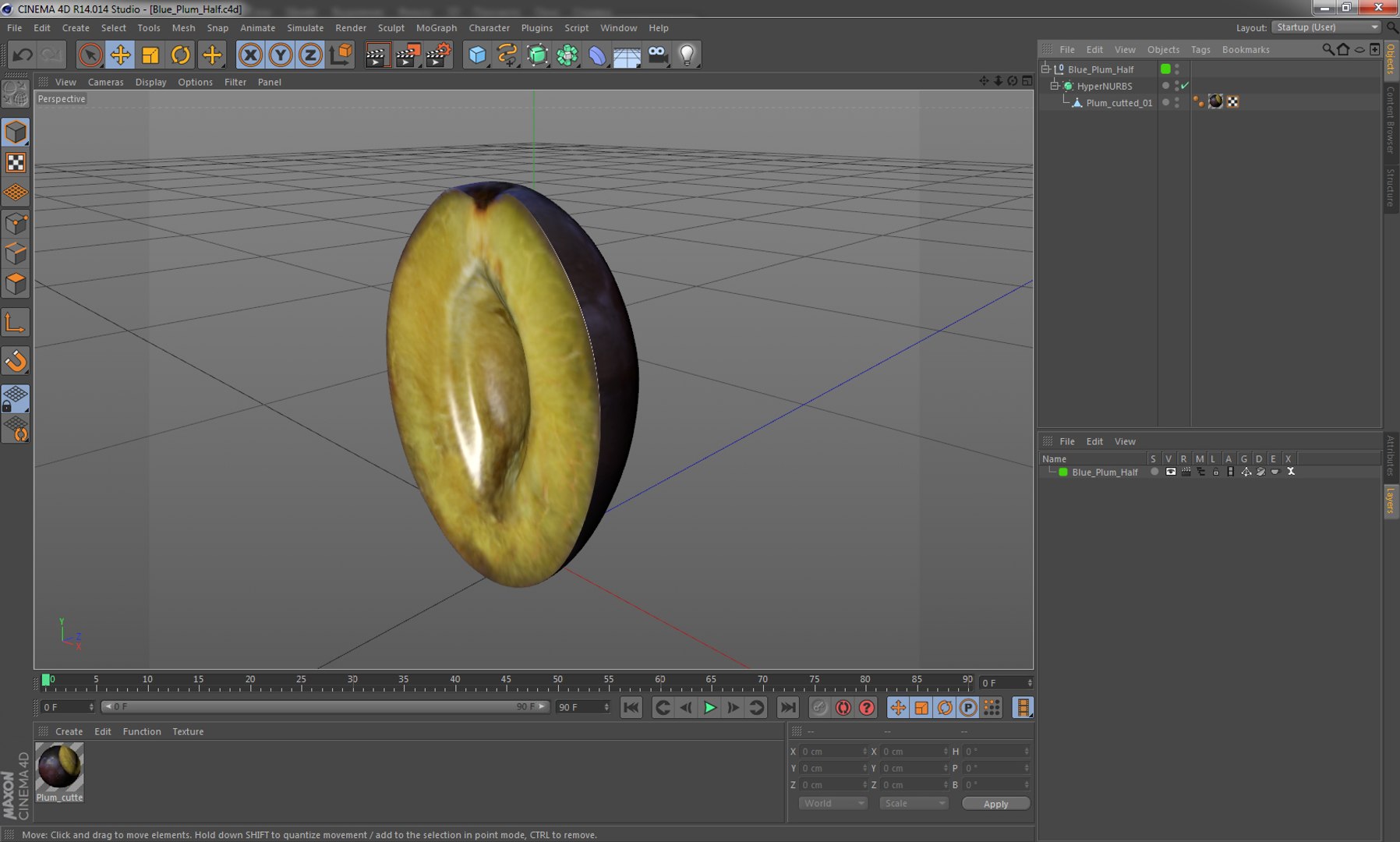 3D blue plum half model https://p.turbosquid.com/ts-thumb/j5/AdDdTT/TvHN4R5k/blue_plum_half_1001/jpg/1507284221/1920x1080/fit_q87/672d72449e540182f0e047cc13a5ede36402400a/blue_plum_half_1001.jpg