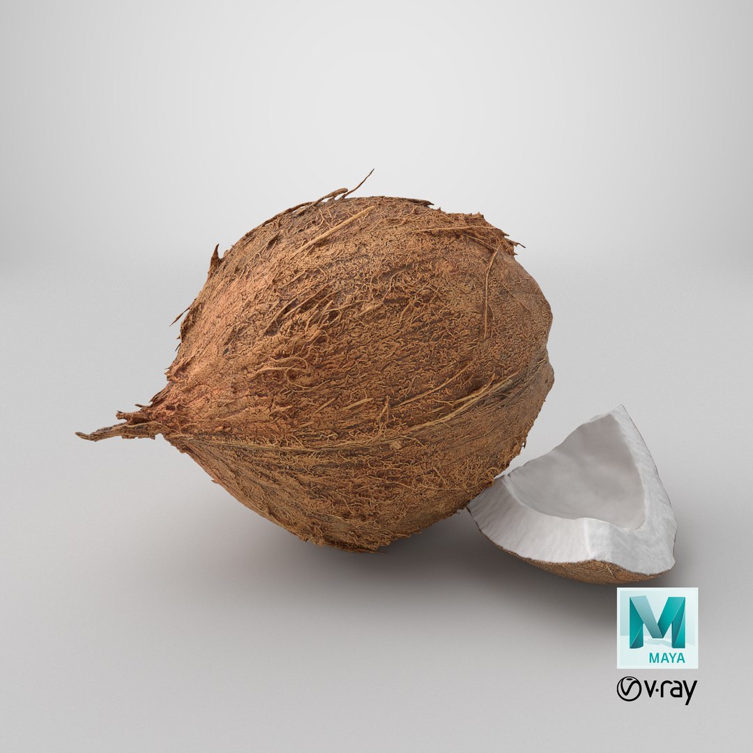 Natural Whole Coconut with Segment Piece model https://p.turbosquid.com/ts-thumb/j5/BknUt9/BQ/stemcell_maya_vray_render/png/1778267951/1920x1080/fit_q87/f8ecf964e08be653bfd5066165cd1885d16ac1fb/stemcell_maya_vray_render.jpg