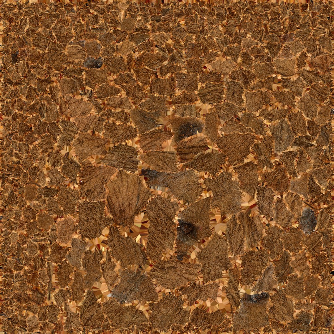 Natural Whole Coconut with Segment Piece model https://p.turbosquid.com/ts-thumb/j5/BknUt9/HB/cutcoconut02_e0004/png/1778062441/1920x1080/fit_q87/035a621aafb1507d885edda4df360a426c688f9f/cutcoconut02_e0004.jpg