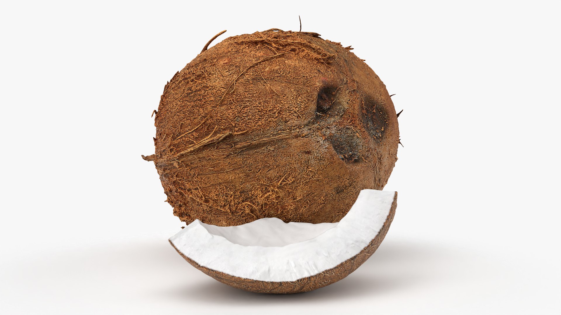 Natural Whole Coconut with Segment Piece model https://p.turbosquid.com/ts-thumb/j5/BknUt9/Lt/cutcoconut02_0005/png/1778062420/1920x1080/fit_q87/fe6a5e9ad3cd73fab2fefbe1fd2a665c34b21f8a/cutcoconut02_0005.jpg
