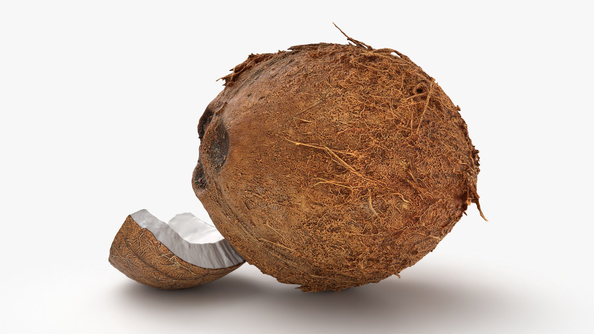 Natural Whole Coconut with Segment Piece model https://p.turbosquid.com/ts-thumb/j5/BknUt9/Rd/cutcoconut02_0002/png/1778062403/1920x1080/fit_q87/6d2fa97a7506b5d064d0f9cfee836900ea11d87e/cutcoconut02_0002.jpg