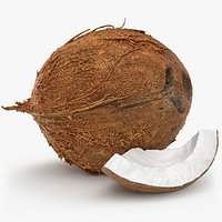 Natural Whole Coconut with Segment Piece