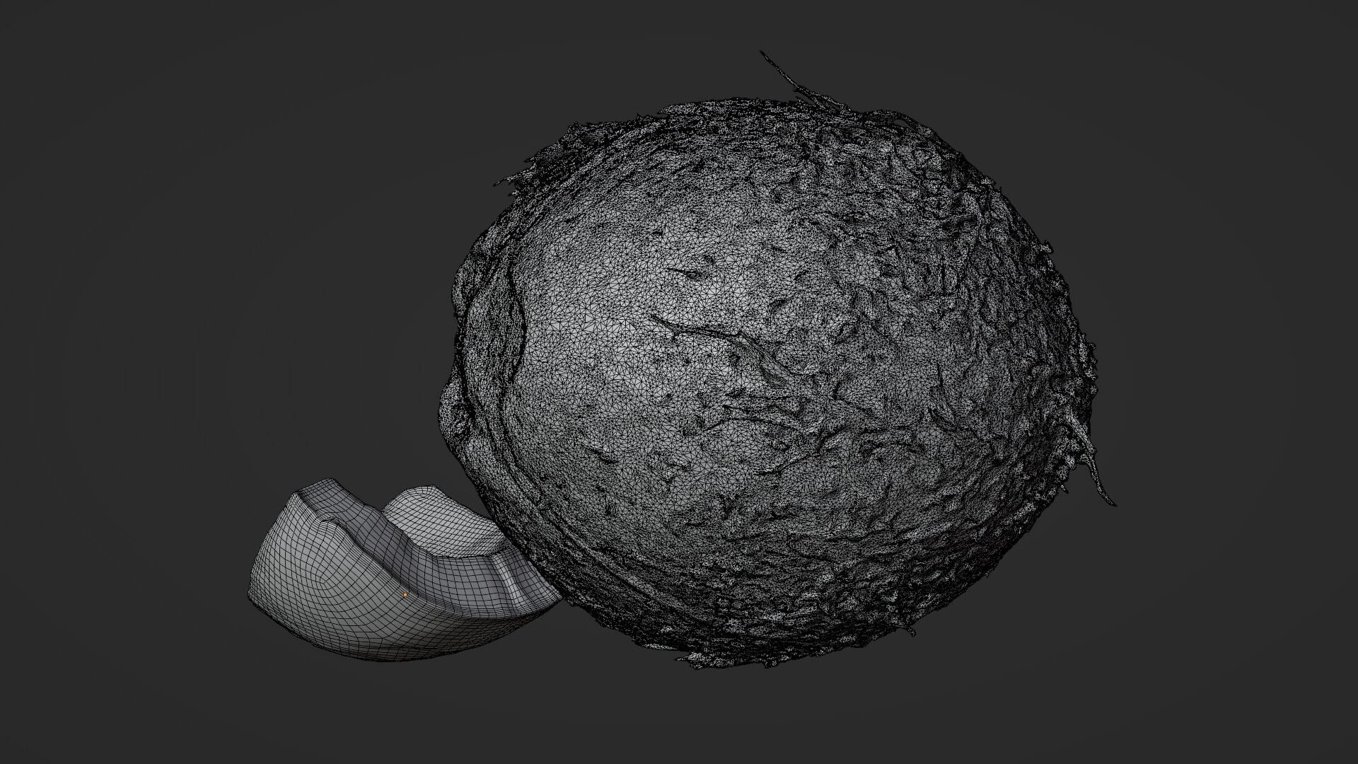 Natural Whole Coconut with Segment Piece model https://p.turbosquid.com/ts-thumb/j5/BknUt9/YL/cutcoconut02_d0015/png/1778062444/1920x1080/fit_q87/8b061de27376f7e432f0d553f2c87ee60198bd44/cutcoconut02_d0015.jpg