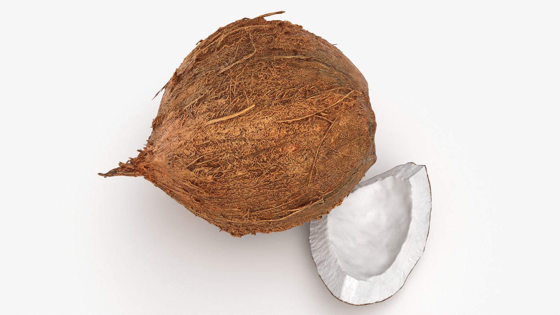 Natural Whole Coconut with Segment Piece model https://p.turbosquid.com/ts-thumb/j5/BknUt9/au/cutcoconut02_0004/png/1778062413/1920x1080/fit_q87/ec0727f6ce44f2abdbdbd121fb37517c5575937d/cutcoconut02_0004.jpg