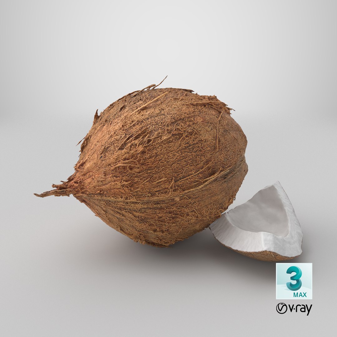 Natural Whole Coconut with Segment Piece model https://p.turbosquid.com/ts-thumb/j5/BknUt9/eC/stemcell_max_vray_render/png/1778267958/1920x1080/fit_q87/ce5a16af08e74b49307212dbeaebed4f09cc972a/stemcell_max_vray_render.jpg