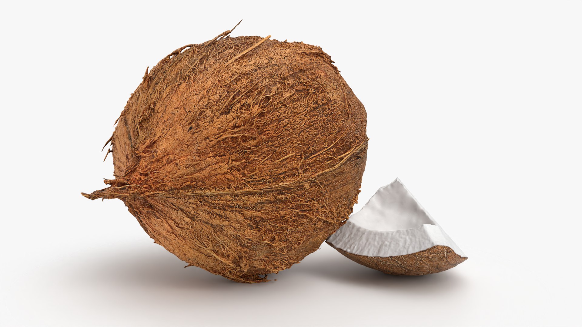 Natural Whole Coconut with Segment Piece model https://p.turbosquid.com/ts-thumb/j5/BknUt9/iV/cutcoconut02_0003/png/1778062412/1920x1080/fit_q87/a27e876c0c4e3f17d82682f0200acc5f467f9960/cutcoconut02_0003.jpg