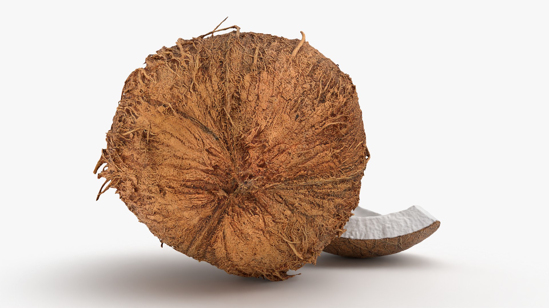 Natural Whole Coconut with Segment Piece model https://p.turbosquid.com/ts-thumb/j5/BknUt9/p8/cutcoconut02_0008/png/1778062431/1920x1080/fit_q87/46ec702cd835b5d9e417fc5405bbd4d436a90bb5/cutcoconut02_0008.jpg