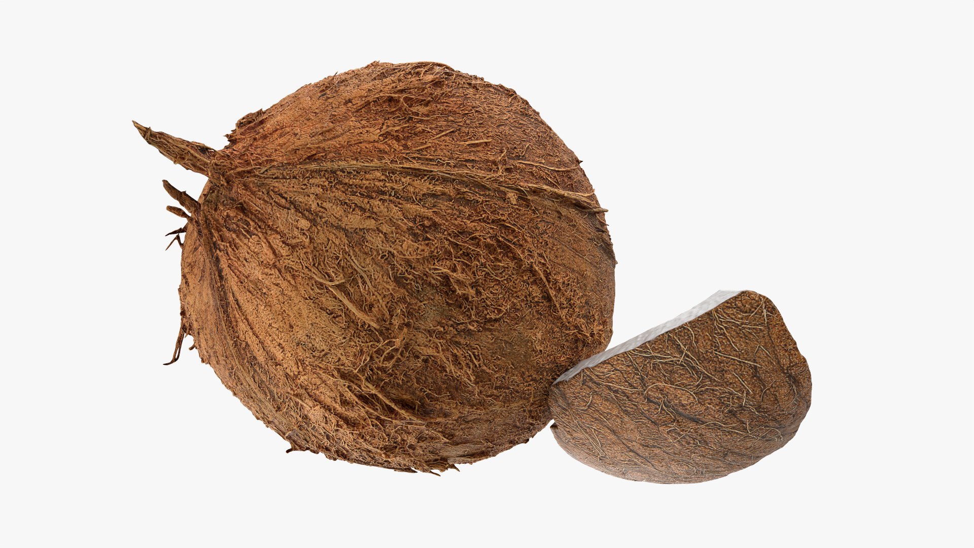 Natural Whole Coconut with Segment Piece model https://p.turbosquid.com/ts-thumb/j5/BknUt9/qu/cutcoconut02_0009/png/1778062433/1920x1080/fit_q87/0d84745ab72164ca7d14889bf14703f4b33c1593/cutcoconut02_0009.jpg