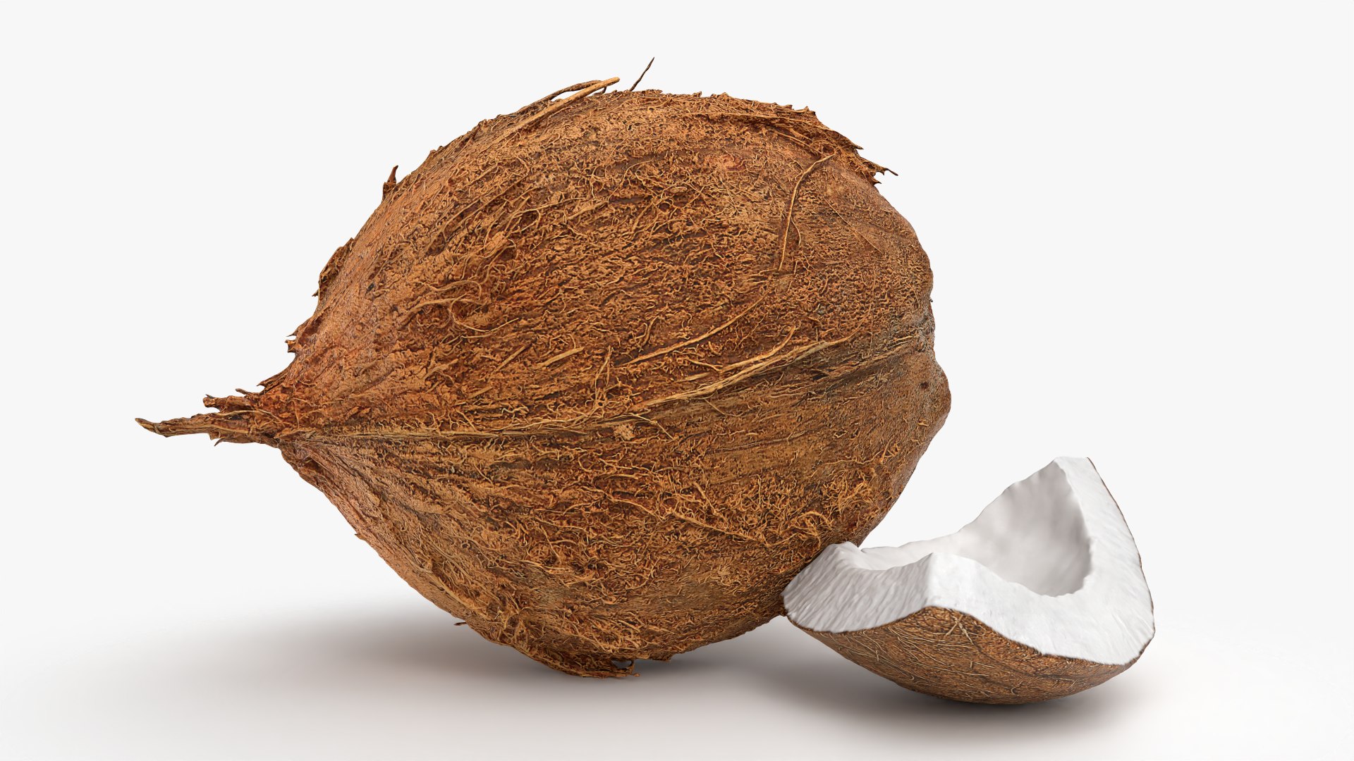 Natural Whole Coconut with Segment Piece model https://p.turbosquid.com/ts-thumb/j5/BknUt9/vI/cutcoconut02_0007/png/1778062428/1920x1080/fit_q87/a7fd54adf4ff57e31ff545343db61ee8eea5052e/cutcoconut02_0007.jpg