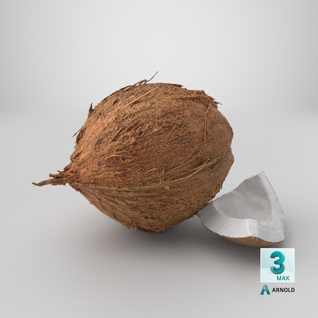 Natural Whole Coconut with Segment Piece model https://p.turbosquid.com/ts-thumb/j5/BknUt9/yL/stemcell_max_arnold_render/png/1778267960/1920x1080/fit_q87/7489a1313802e677483e2410e3665db8c242c54f/stemcell_max_arnold_render.jpg