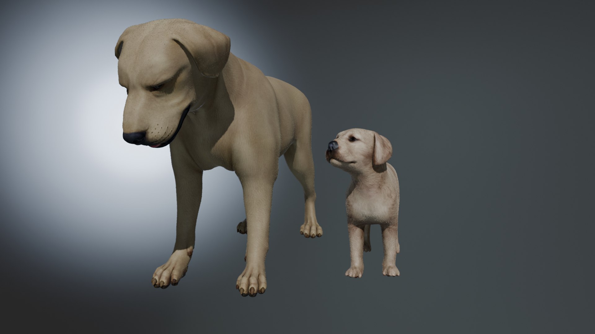 3D Model Labrador Family - TurboSquid 2310627