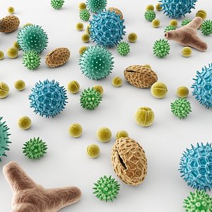 Pollen 3D model