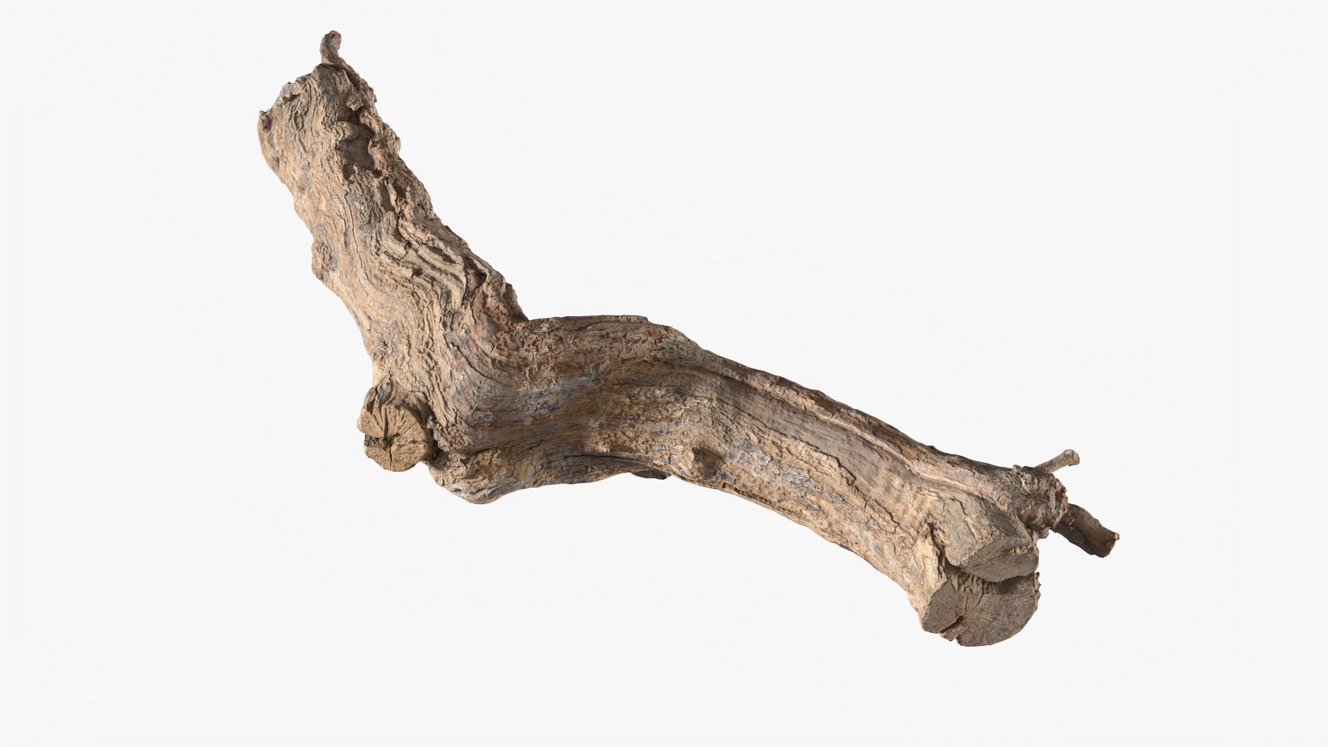 Grapevine Bark 3D Scanned 10 StemCell 3D https://p.turbosquid.com/ts-thumb/j5/TgmeW8/Ay/grapevine_10_p02/jpg/1726478135/1920x1080/fit_q87/41da1cd8d7f9b3f0905aaebb0bec672d97ed700e/grapevine_10_p02.jpg