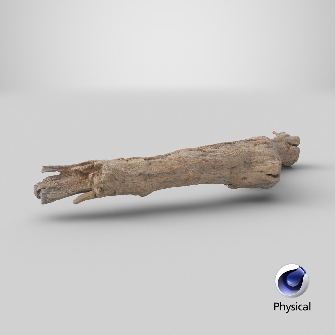 Grapevine Bark 3D Scanned 10 StemCell 3D https://p.turbosquid.com/ts-thumb/j5/TgmeW8/XX/stemcell_cinema_4d_physical_render/png/1728314662/1920x1080/fit_q87/d04bf3fc686ef0f77b25ce56808cd3462d5e1786/stemcell_cinema_4d_physical_render.jpg