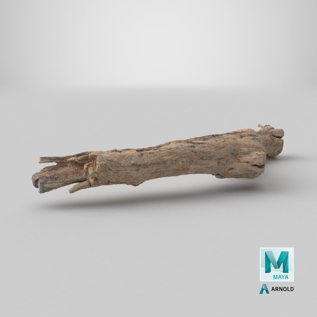 Grapevine Bark 3D Scanned 10 StemCell 3D https://p.turbosquid.com/ts-thumb/j5/TgmeW8/gz/stemcell_maya_arnold_render/png/1728314654/1920x1080/fit_q87/c4f9248abb3b197110f3f548c7eb91d474ee34c4/stemcell_maya_arnold_render.jpg