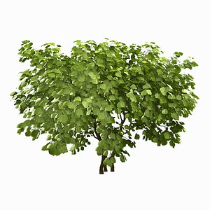 tree environment 3d model