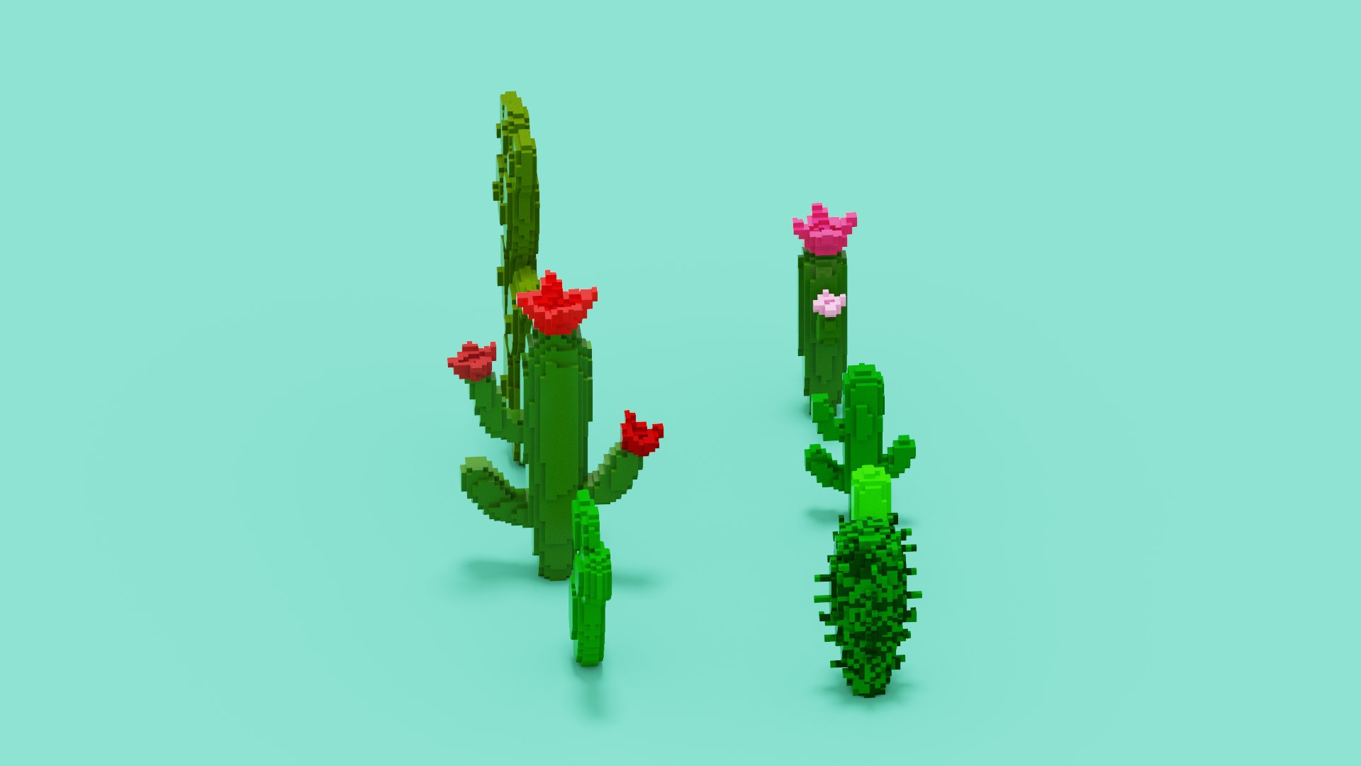 3D Voxel Cactus Set https://p.turbosquid.com/ts-thumb/j5/Xt3El2/L7/spin202209081848350010/png/1662654006/1920x1080/fit_q87/10fc339237b6fe5cea019bc313cab46e212c8338/spin202209081848350010.jpg