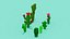 Set di cactus Voxel