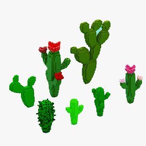 Voxel Cactus Set
