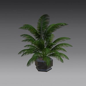 Flowerpot low poly