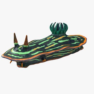 Dusky Nudibranch Rigged for Cinema 4D