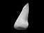 Nose
