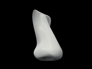 Nose