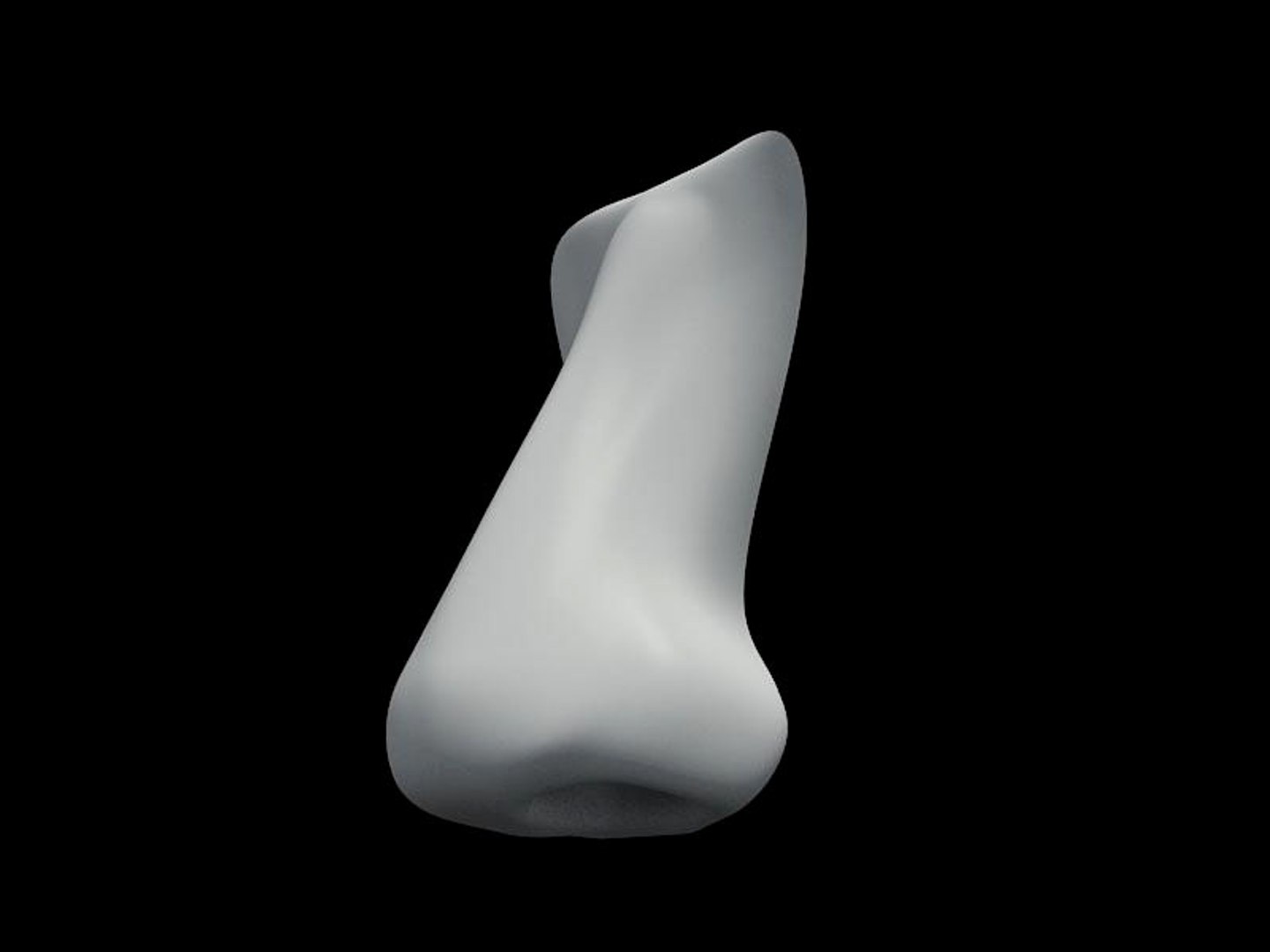 nose head 3d max https://p.turbosquid.com/ts-thumb/j5/v98MKH/fDbN1tof/master2/jpg/1447333282/1920x1080/fit_q87/8ae8c3c31b248bb15d98869f1907fb760fb794b2/master2.jpg