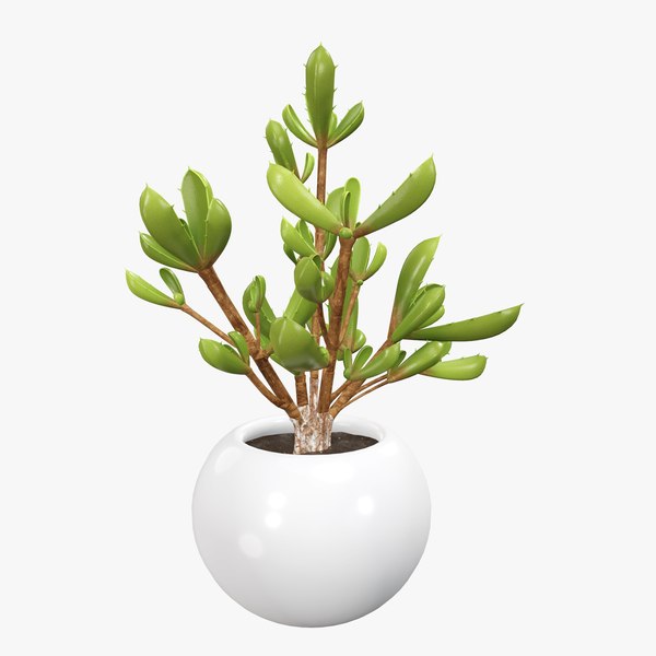 plant pot decor 3D model