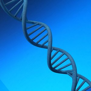 DNA