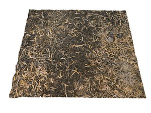 ground jungle 16k ultra 3D